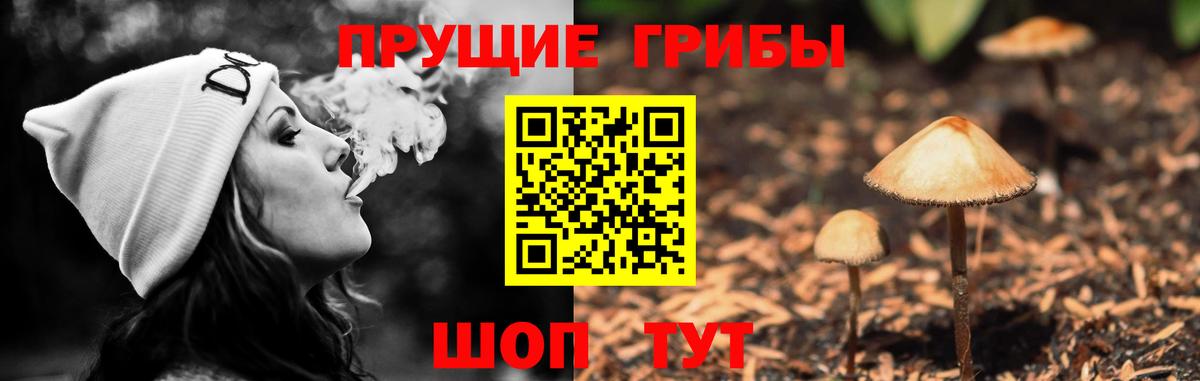 Псилоцибиновые грибы MAGIC MUSHROOMS  Вход с VPN  Сочи 